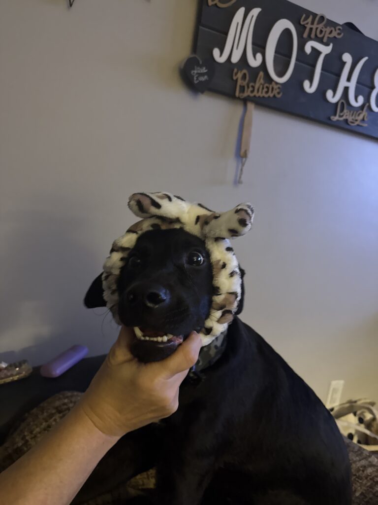 My dog Colter. "I just had to" moment!